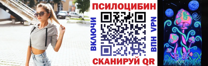 дарнет шоп  Камбарка  hydra tor  Галлюциногенные грибы мицелий 